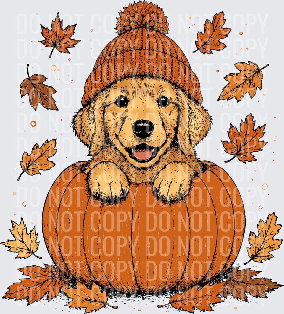Golden Retriever Pumpkin Peeker