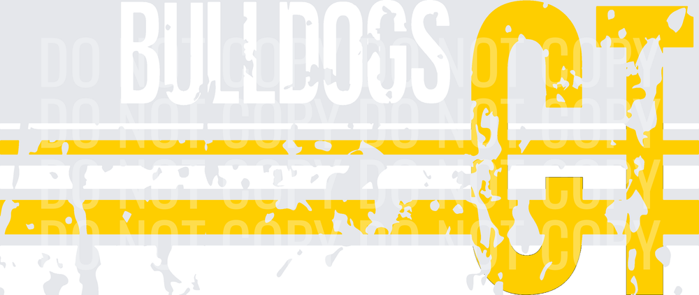 CT BULLDOGS