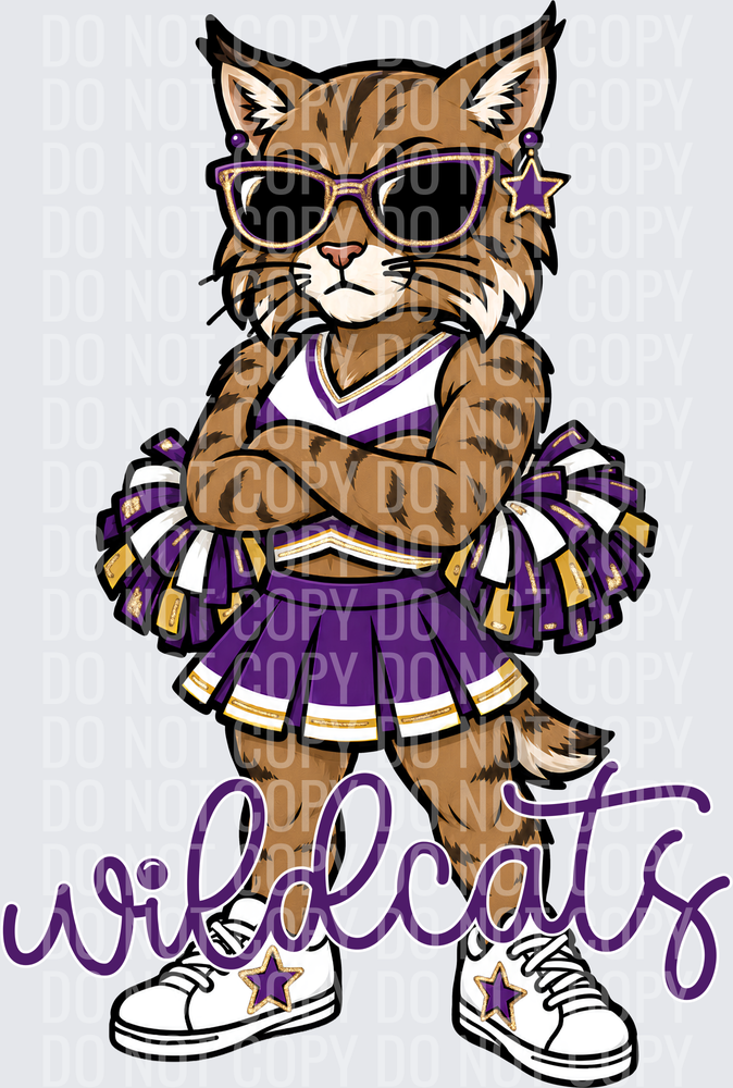 Wildcats Cheer Purple Gold