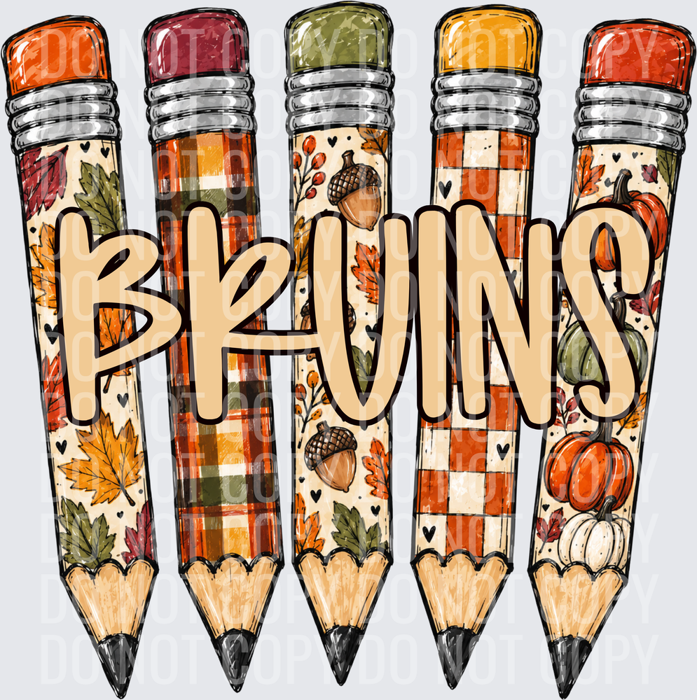 BRUINS