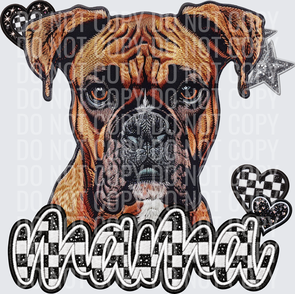 Boxer