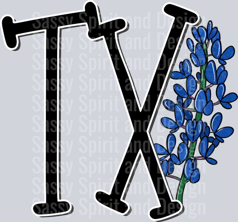 TEXAS Whimsy Pockets