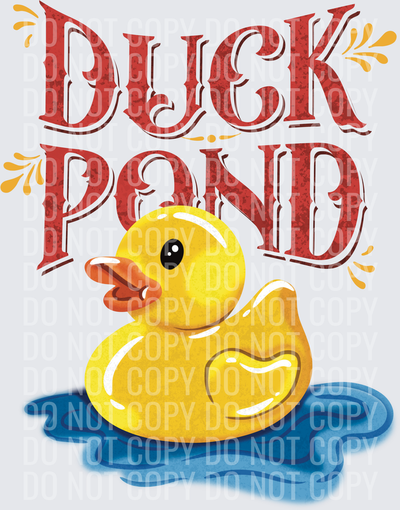 carnival  duck pond