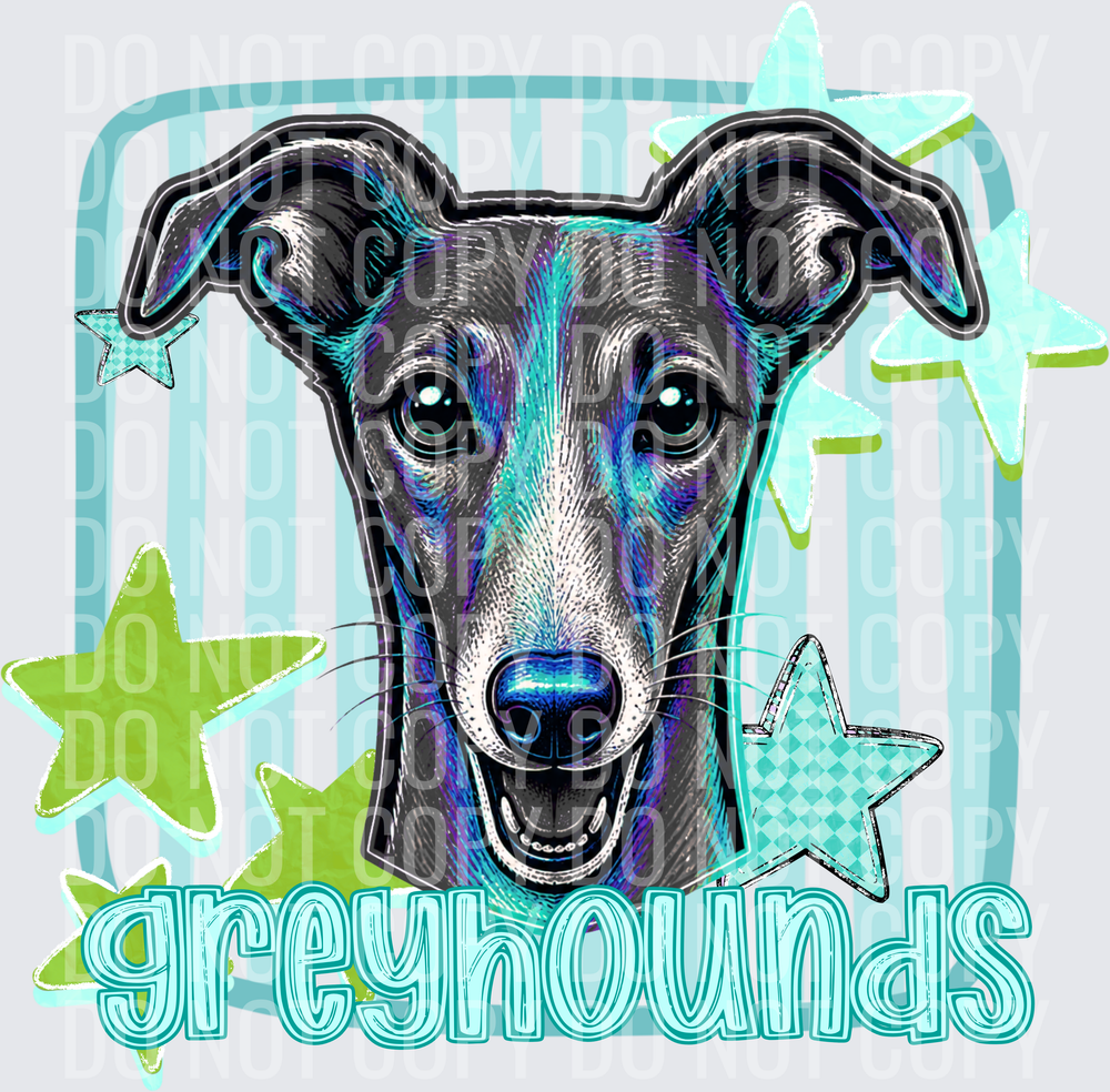GREYHOUNDS