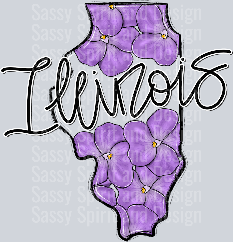 ILLINOIS WHIMSY STATES