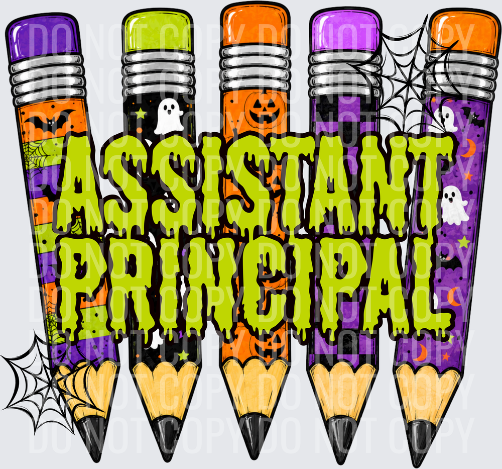 ASSISTANT PRINCIPAL