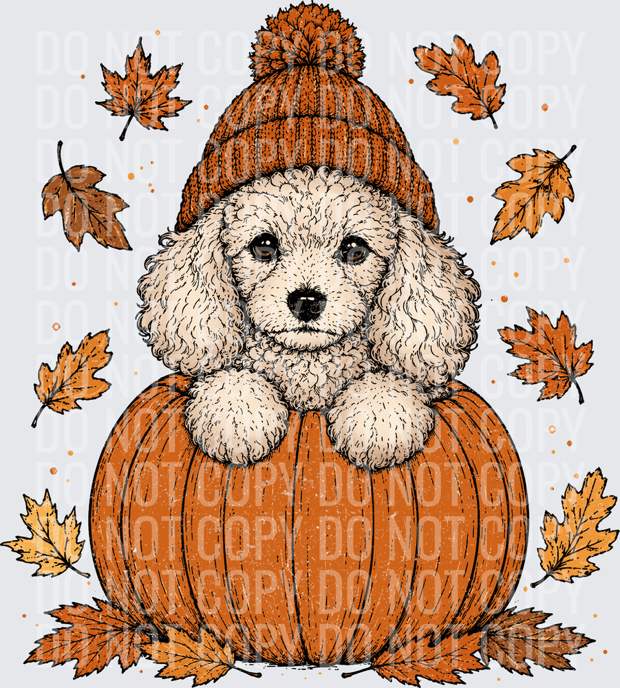 White Poodle Pumpkin Puppy Custom Order
