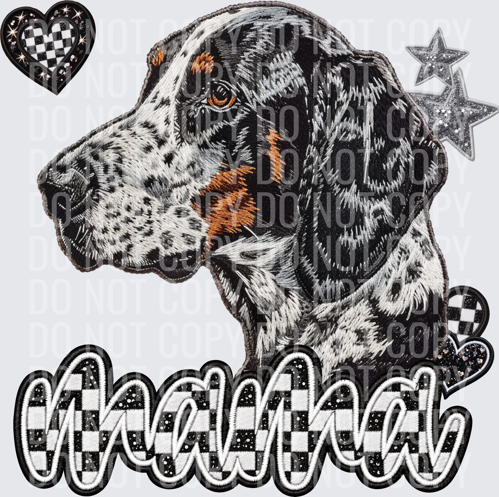 English Setter