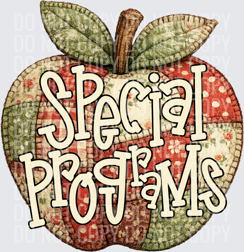 SPECIAL PROGRAMS