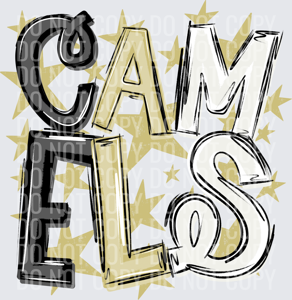 CAM-ELS