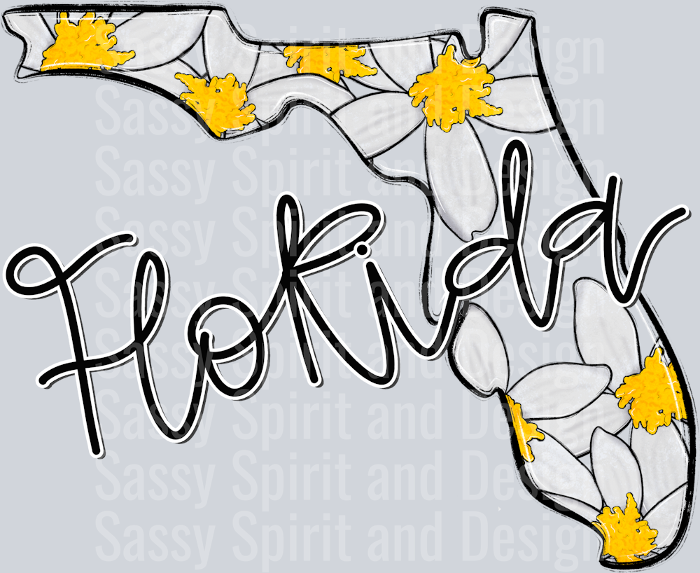 FLORIDA WHIMSY STATES