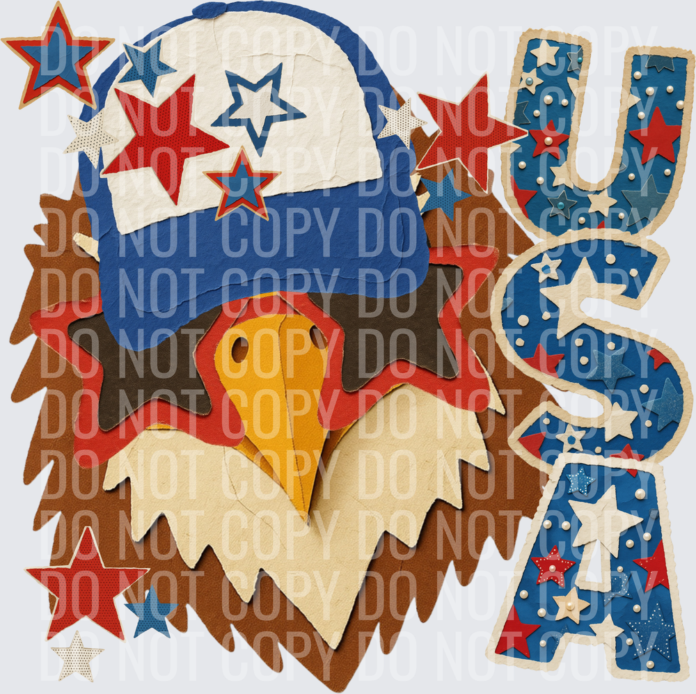 USA COLLAGE