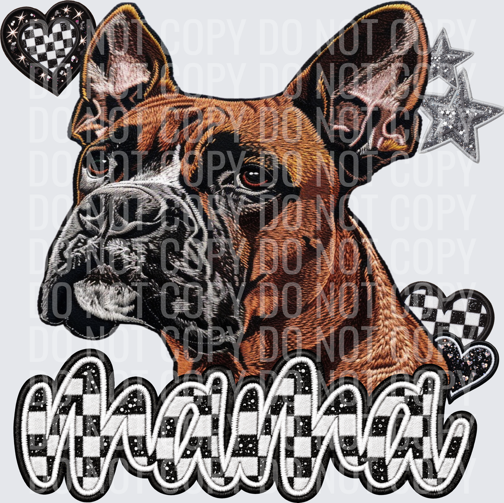 Boxer2