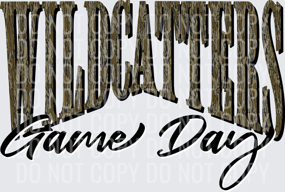 wildcatters