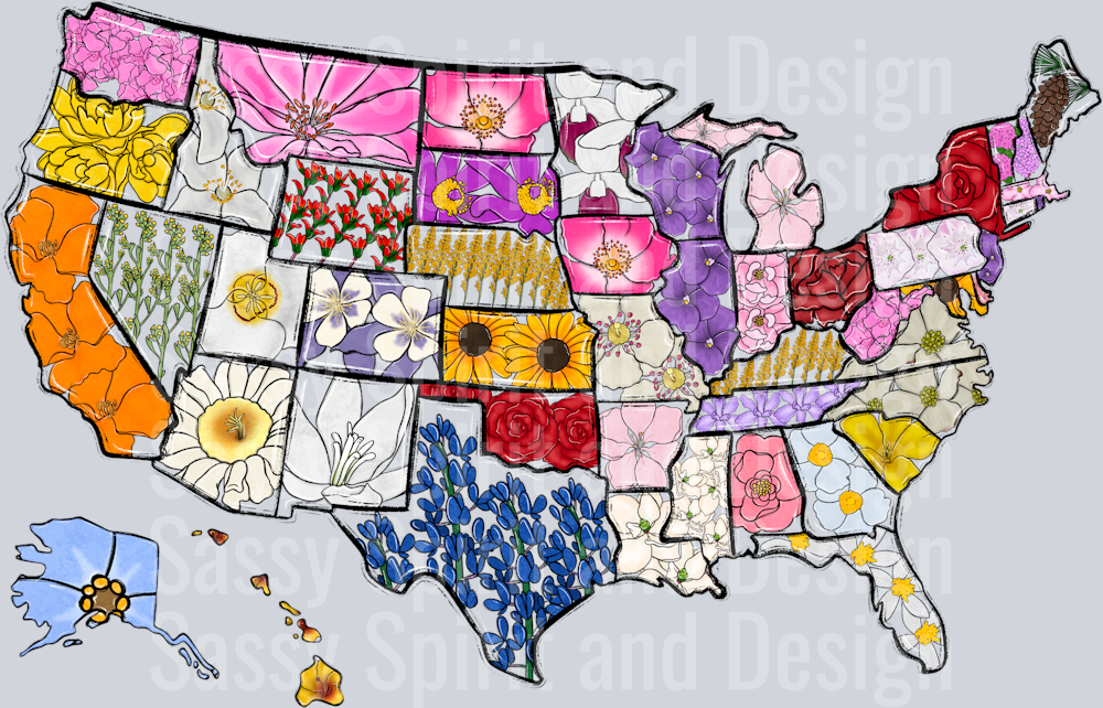 Whimsy America Flower Map NO WORDS