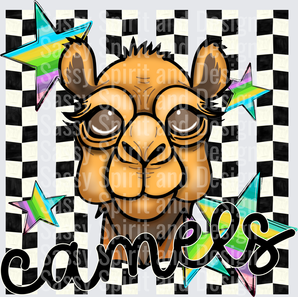 CAMELS