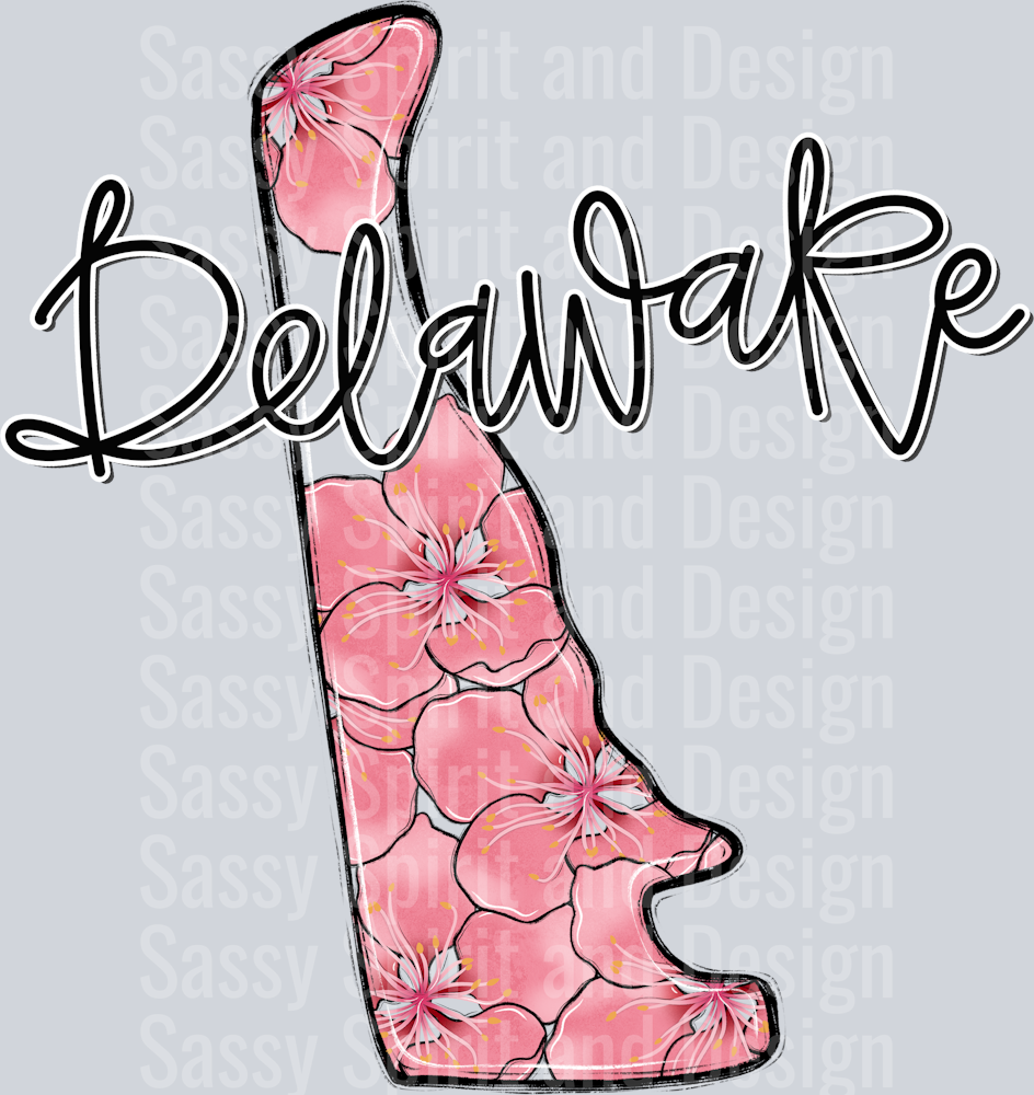 DELAWARE WHIMSY STATES