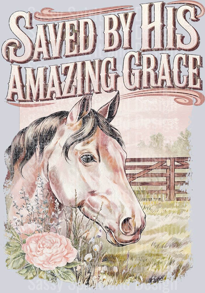 saved_by_his_amazing_grace_horse_distressed