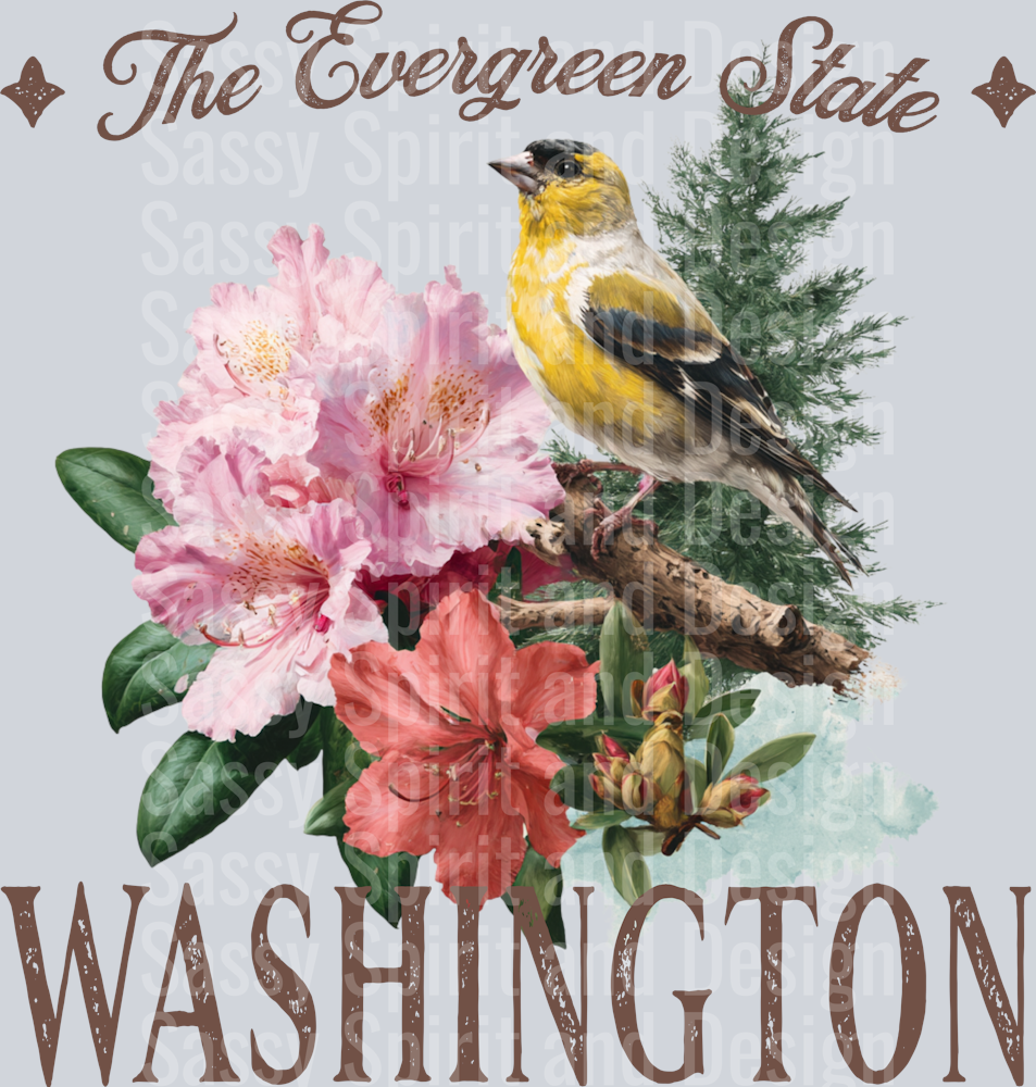 VINTAGE STATES WASHINGTON