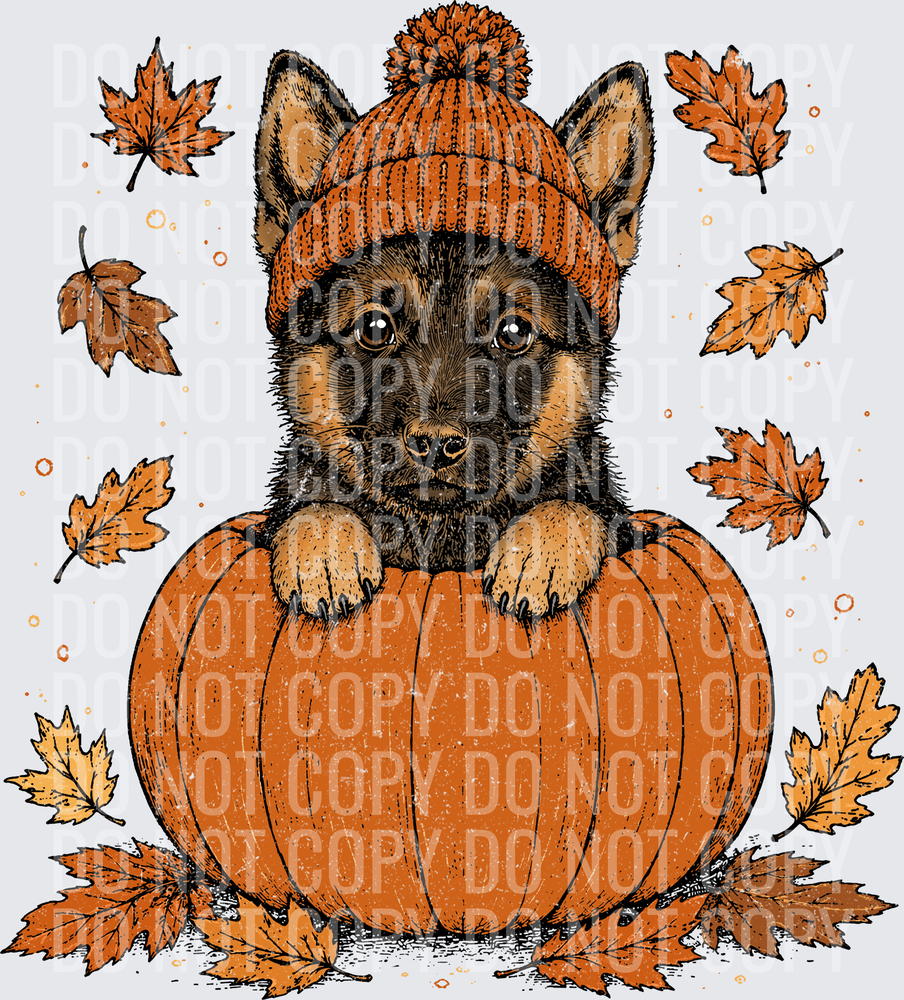 German Shepherd Pumpkin Peeker