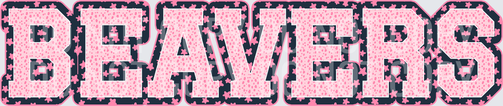 KayndiDesigns 08.26 Varsity Stars Beavers