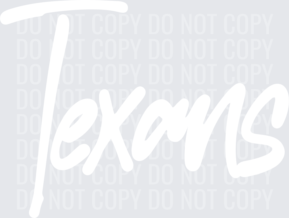Texans2