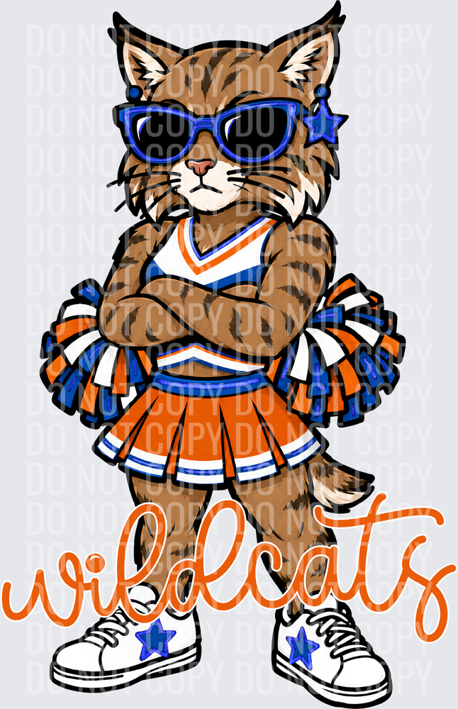 Wildcats Cheer Orange Blue