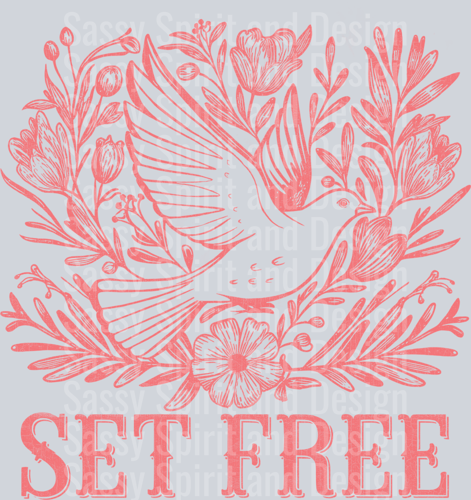 set_free_bird_pink_distressed