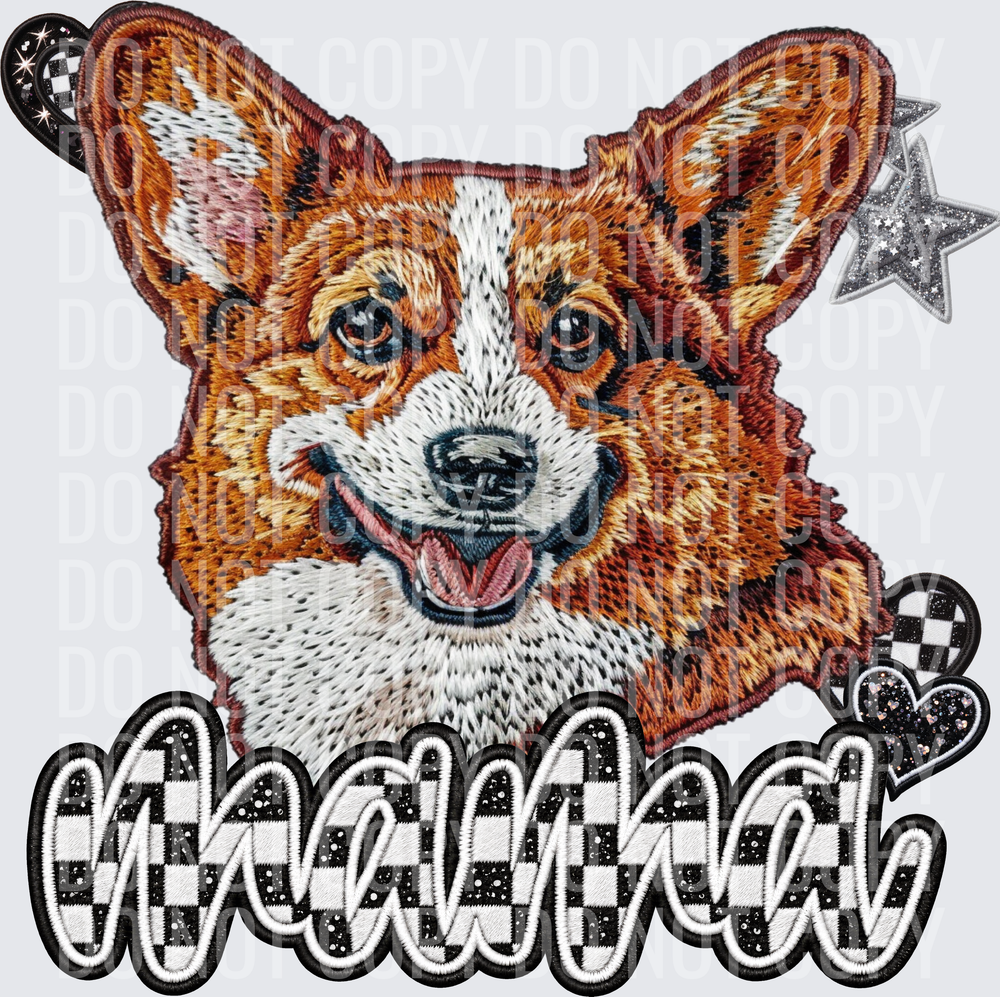 Corgi-1