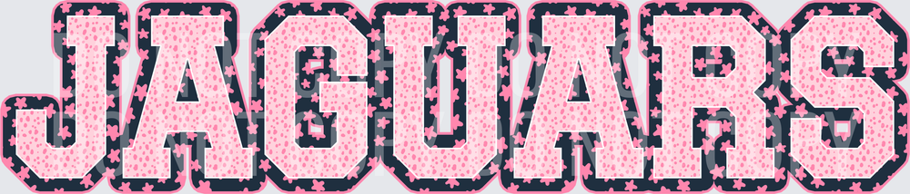 KayndiDesigns 08.26 Varsity Stars Jaguars