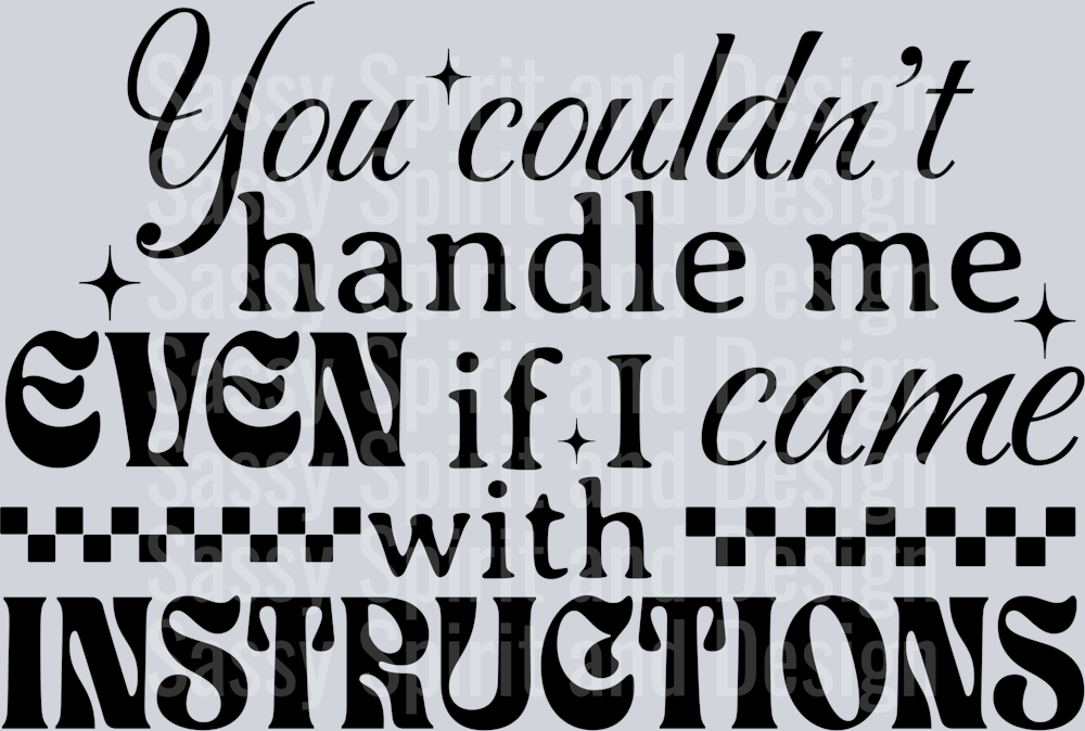 YOU COULDN_T HANDLE ME INSTRUCTIONS