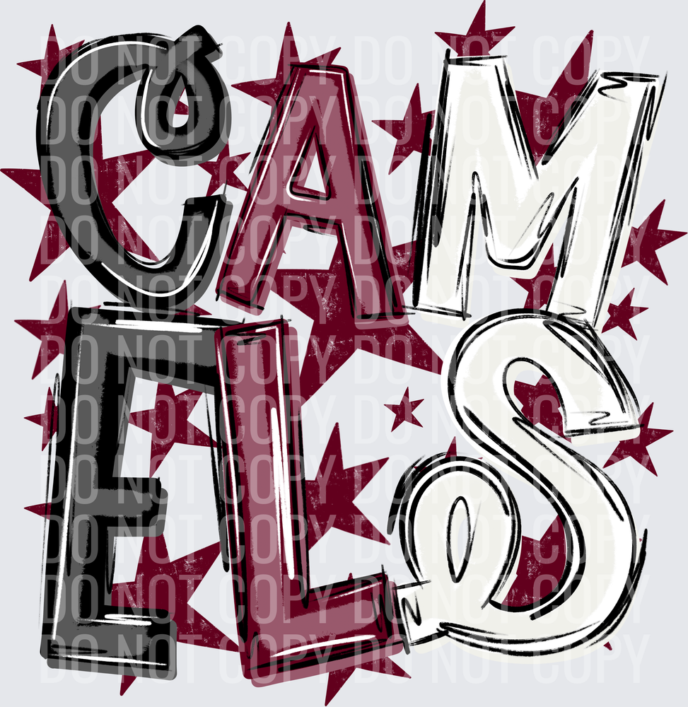 CAM-ELS