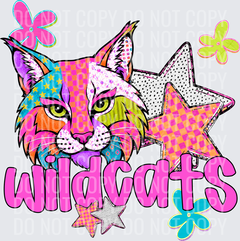 WILDCATS(1)
