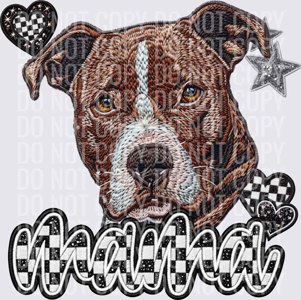 Pit Bull