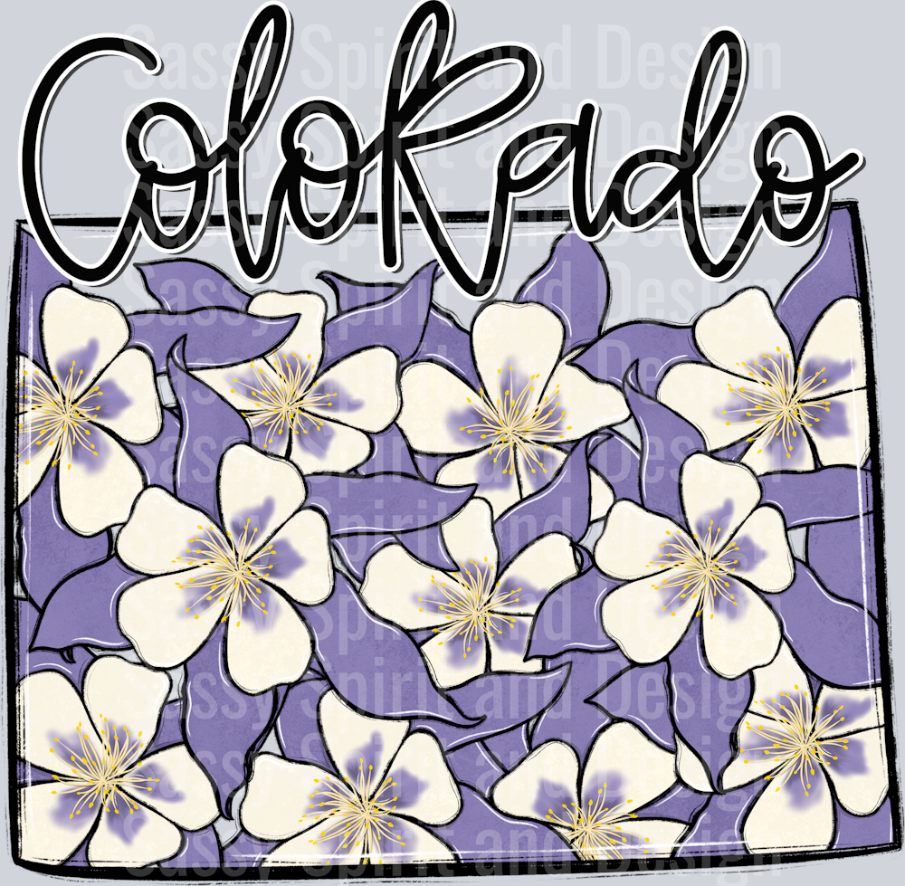 COLORADO WHIMSY STATES