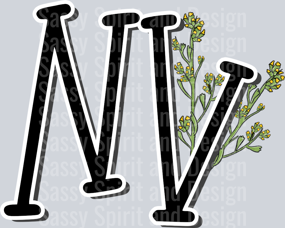 NEVADA Whimsy Pockets