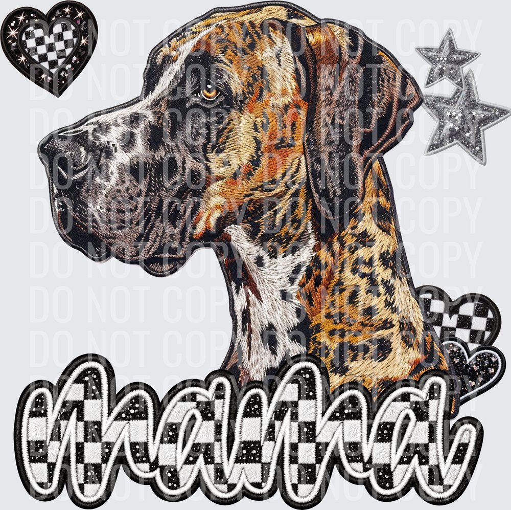 Fawn Harlequin Great Dane