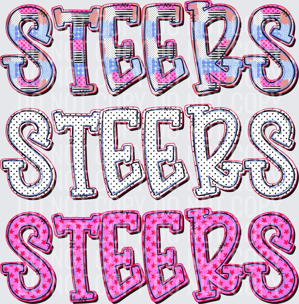 STEERS
