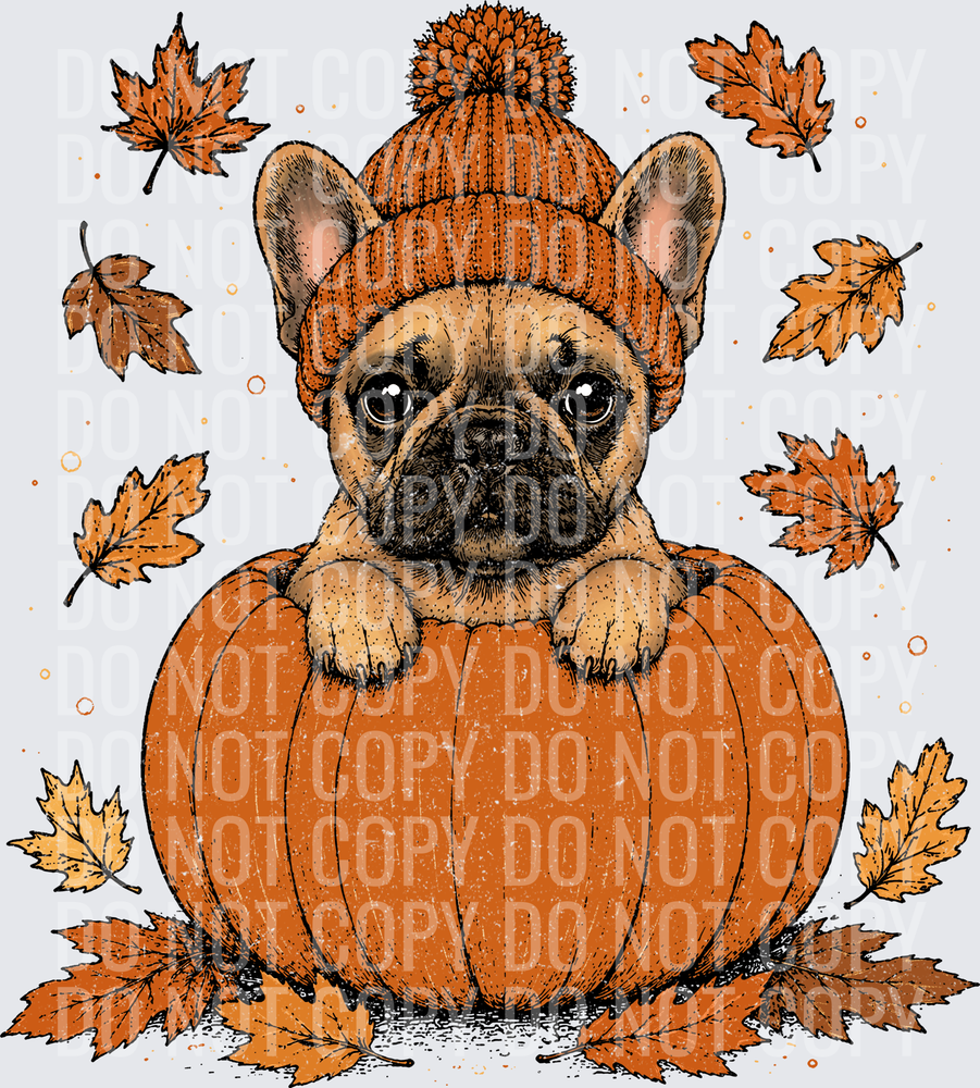 French Bulldog Pumpkin Peeker