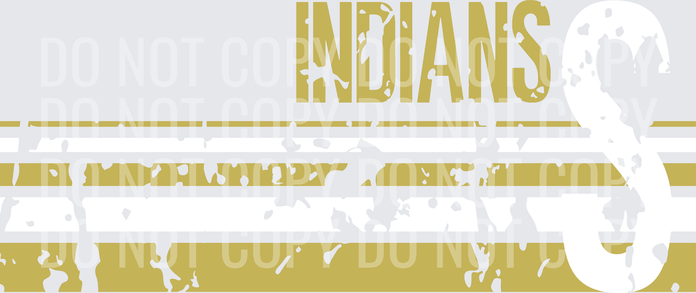 S INDIANS