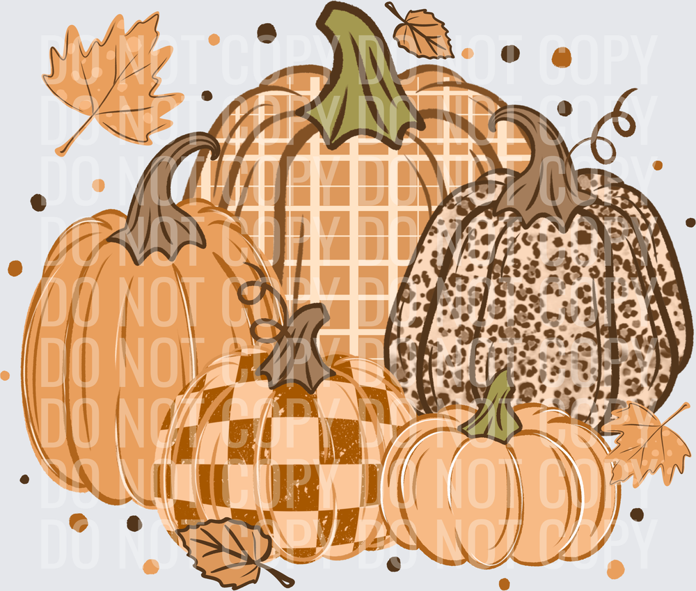 Orange_Pumpkins 2