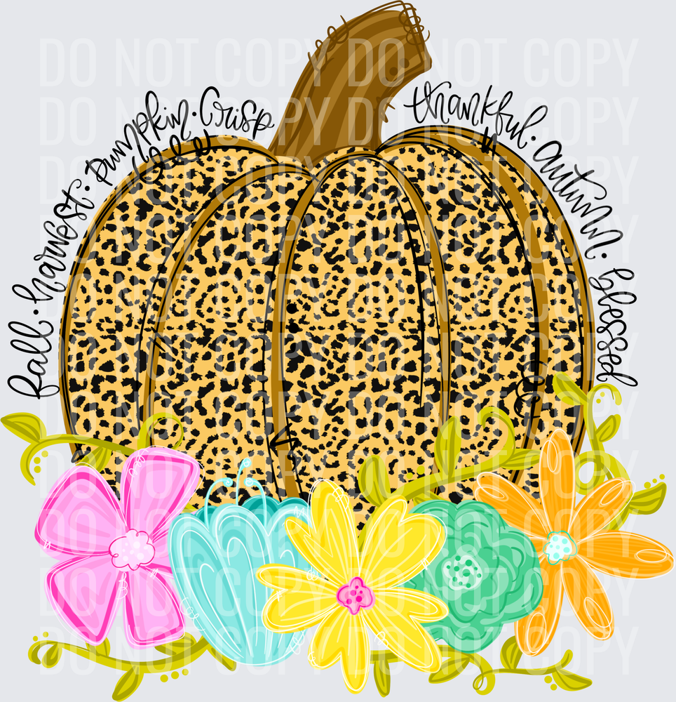 leopard pumpkin