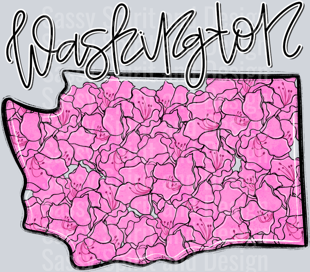 WASHINGTON WHIMSY STATES