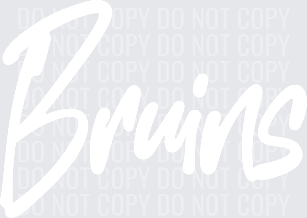 Bruins2