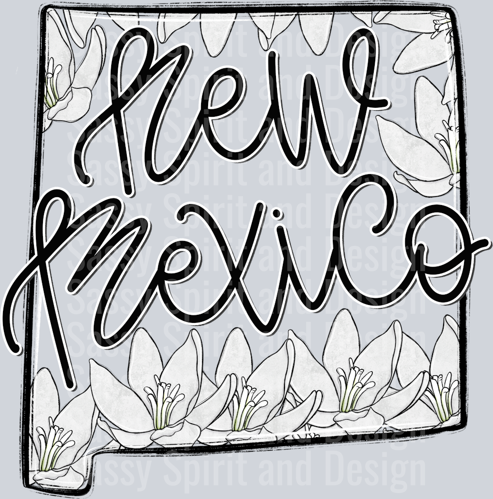 NEW MEXICO WHIMSY STATES