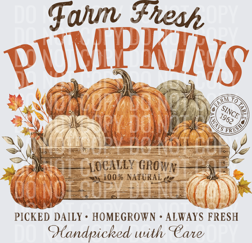 Farm Fresh Pumpkins