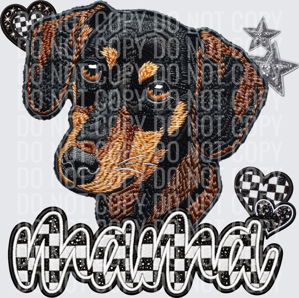 Shorthaired Dashchund