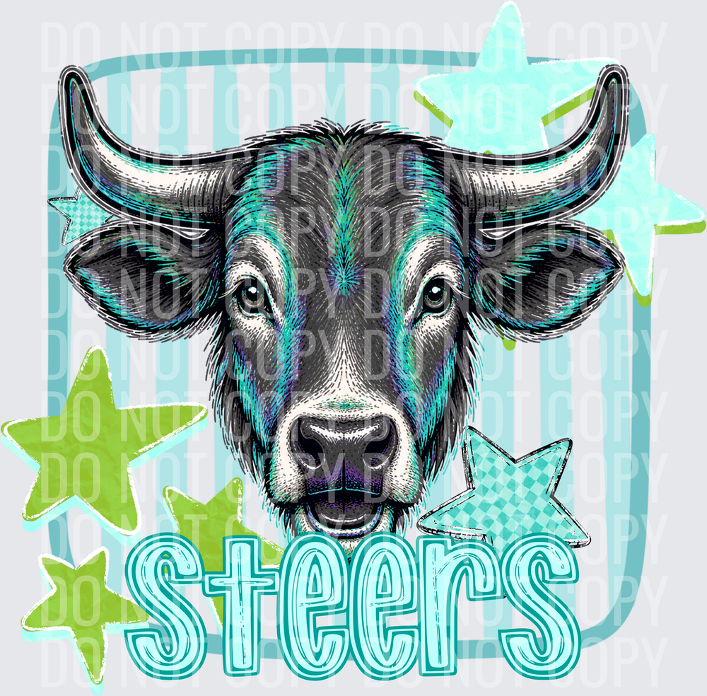 STEERS