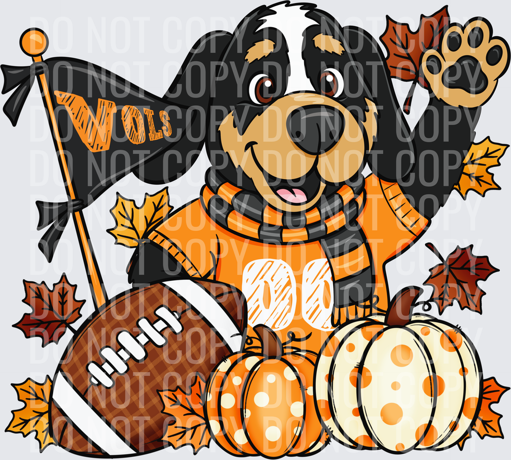 Fall_Mascot Vols