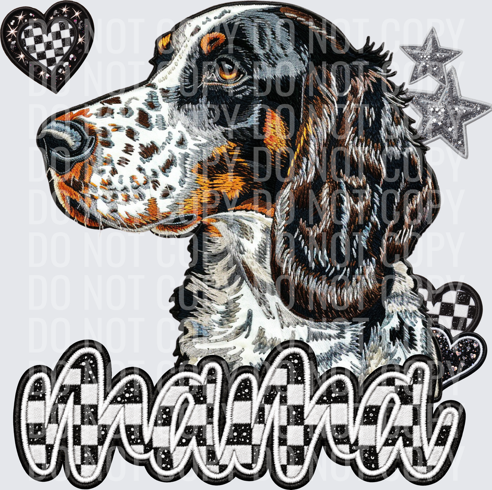 English Setter-1